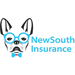 NSI